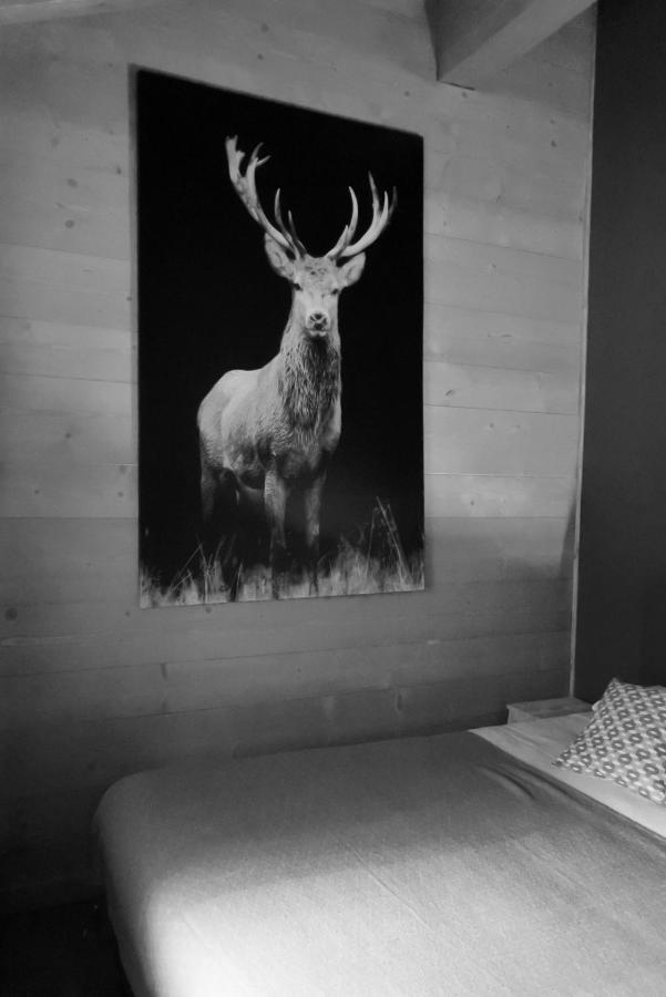 Grand Chalet Le Trappeur - Chamonix Luaran gambar